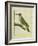 Male European Green Woodpecker-Georges-Louis Buffon-Framed Giclee Print