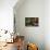 Male Figure in Abandoned Building with Televisions-Nathan Wright-Photographic Print displayed on a wall