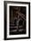 Male Figure in Abandoned Building-Nathan Wright-Framed Photographic Print