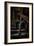 Male Figure in Abandoned Building-Nathan Wright-Framed Photographic Print