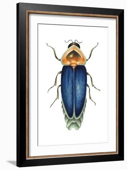 Male Firefly (Lampyridae), Insects-Encyclopaedia Britannica-Framed Art Print