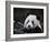 Male Giant Panda Wolong Nature Reserve, China-Eric Baccega-Framed Photographic Print