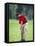 Male Golfer in Action-Chris Trotman-Framed Premier Image Canvas