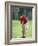 Male Golfer in Action-Chris Trotman-Framed Photographic Print