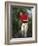 Male Golfer in Action-Chris Trotman-Framed Photographic Print