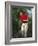 Male Golfer in Action-Chris Trotman-Framed Photographic Print