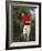 Male Golfer in Action-Chris Trotman-Framed Photographic Print