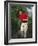 Male Golfer in Action-Chris Trotman-Framed Photographic Print