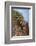 Male greater kudu (Tragelaphus strepsiceros), Kgalagadi Transfrontier Park, South Africa-David Wall-Framed Photographic Print