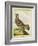 Male Grouse-Georges-Louis Buffon-Framed Giclee Print