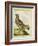 Male Grouse-Georges-Louis Buffon-Framed Giclee Print