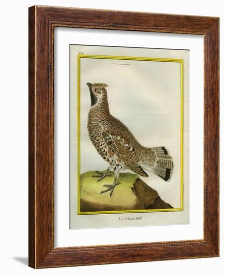 Male Grouse-Georges-Louis Buffon-Framed Giclee Print