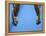 Male Gymnast Competing on Rings in Men's Qualification, 2004 Olympic Summer Games, Athens, Greece,-Steven Sutton-Framed Premier Image Canvas