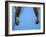 Male Gymnast Competing on Rings in Men's Qualification, 2004 Olympic Summer Games, Athens, Greece,-Steven Sutton-Framed Photographic Print