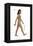 Male Human Being (Homo Sapiens), Ape, Mammals-Encyclopaedia Britannica-Framed Stretched Canvas