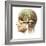 Male Human Head with Skull and Artificial Electronic Circuit Brain-null-Framed Art Print