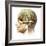 Male Human Head with Skull and Artificial Electronic Circuit Brain-null-Framed Art Print