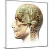 Male Human Head with Skull and Artificial Electronic Circuit Brain-null-Mounted Art Print