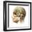 Male Human Head with Skull and Artificial Electronic Circuit Brain-null-Framed Art Print