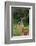 Male impala (Aepyceros melampus), Ndutu, Ngorongoro Conservation Area, Serengeti, Tanzania-Sergio Pitamitz-Framed Photographic Print