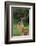 Male impala (Aepyceros melampus), Ndutu, Ngorongoro Conservation Area, Serengeti, Tanzania-Sergio Pitamitz-Framed Photographic Print