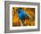 Male Indigo Bunting-Adam Jones-Framed Photographic Print