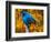 Male Indigo Bunting-Adam Jones-Framed Photographic Print