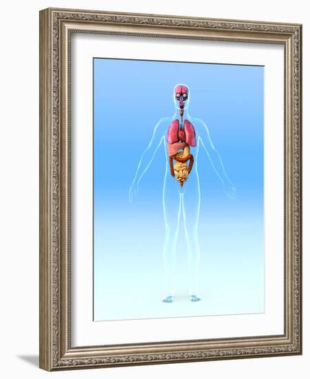 Male Internal Organs, Artwork-Roger Harris-Framed Photographic Print