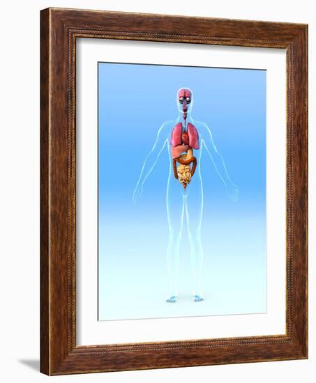 Male Internal Organs, Artwork-Roger Harris-Framed Photographic Print