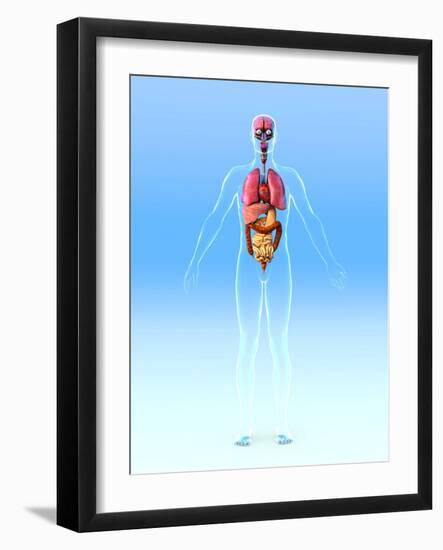 Male Internal Organs, Artwork-Roger Harris-Framed Photographic Print