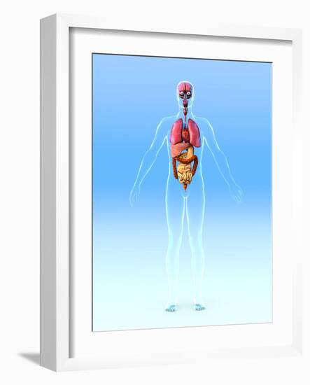 Male Internal Organs, Artwork-Roger Harris-Framed Photographic Print