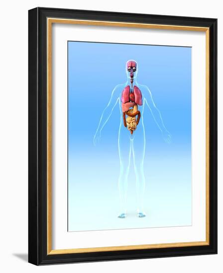 Male Internal Organs, Artwork-Roger Harris-Framed Photographic Print