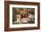 Male Lion and Female Lion - a Couple, on Savanna. Safari in Serengeti, Tanzania, Africa-Michal Bednarek-Framed Photographic Print