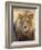 Male Lion at Africat Project, Namibia-Joe Restuccia III-Framed Photographic Print