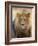 Male Lion at Africat Project, Namibia-Joe Restuccia III-Framed Photographic Print