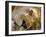 Male Lion in the Late Afternoon, Maasai Mara, Kenya-Joe Restuccia III-Framed Photographic Print