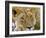 Male Lion in the Late Afternoon, Maasai Mara, Kenya-Joe Restuccia III-Framed Photographic Print