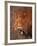 Male Lion, Masai Mara, Kenya-Dee Ann Pederson-Framed Photographic Print