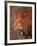 Male Lion, Masai Mara, Kenya-Dee Ann Pederson-Framed Photographic Print