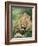 Male Lion, Panthera Leo, Kruger National Park, South Africa, Africa-Ann & Steve Toon-Framed Photographic Print