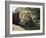 Male Lion Sleeping on a Rock in Africa-John Dominis-Framed Photographic Print