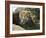 Male Lion Sleeping on a Rock in Africa-John Dominis-Framed Photographic Print