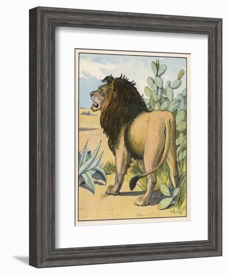 Male Lion Stands Alone in a Desert-W. Foster-Framed Photographic Print