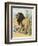 Male Lion Stands Alone in a Desert-W. Foster-Framed Photographic Print