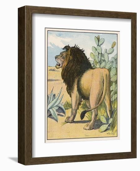 Male Lion Stands Alone in a Desert-W. Foster-Framed Photographic Print