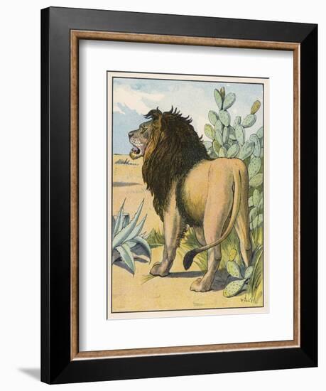 Male Lion Stands Alone in a Desert-W. Foster-Framed Photographic Print