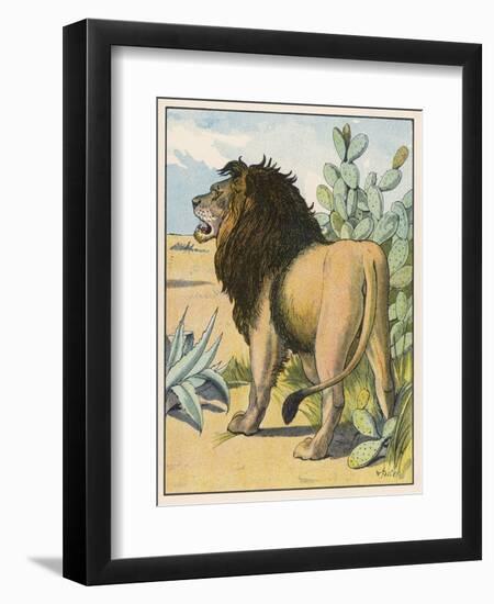 Male Lion Stands Alone in a Desert-W. Foster-Framed Photographic Print