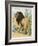 Male Lion Stands Alone in a Desert-W. Foster-Framed Photographic Print