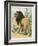 Male Lion Stands Alone in a Desert-W. Foster-Framed Photographic Print