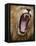 Male lion yawning in Masai Mara National Reserve-Paul Souders-Framed Premier Image Canvas